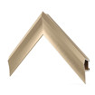 FRM-AL-PR-GLD-65-21~3.jpg